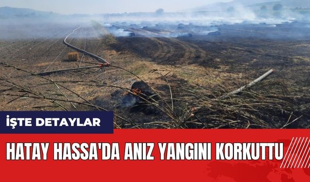 Hatay Hassa'da anız yangını korkuttu