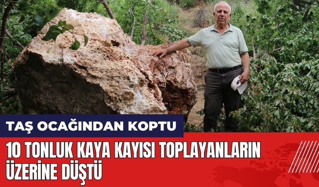 Hatay'da faciaya kılpayı! 10 tonluk kaya kayısı toplayanların üzerine düştü