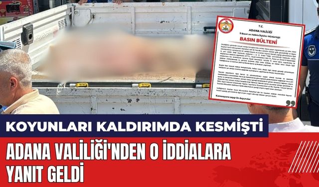 Koyunları kaldırımda kesmişti! Adana Valiliği'nden o iddialara yanıt geldi