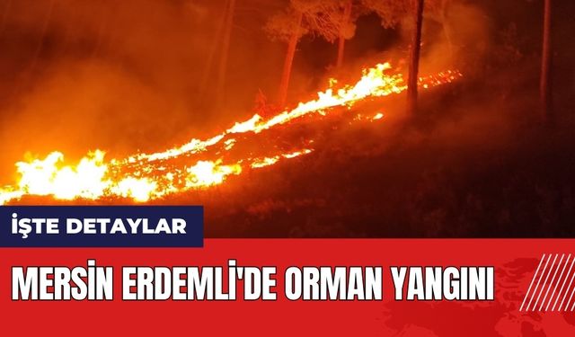 Mersin Erdemli'de orman yangını