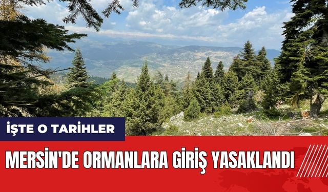 Mersin'de ormanlara giriş yasaklandı