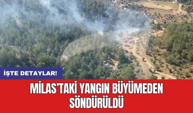 Milas’taki yangın büyümeden söndürüldü