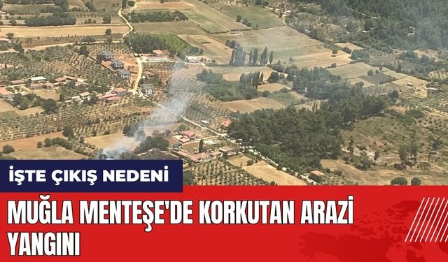 Muğla Menteşe'de korkutan arazi yangını