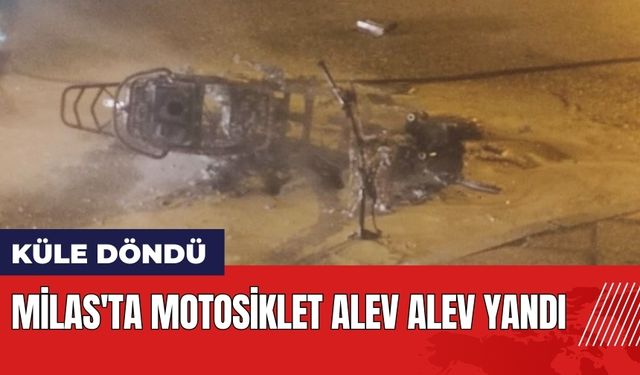 Muğla Milas'ta motosiklet alev alev yandı