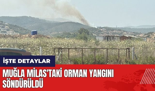 Muğla Milas'taki orman yangını söndürüldü