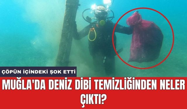 Muğla'da deniz dibi temizliğinden neler çıktı?