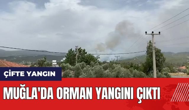 Muğla'da orman yangını çıktı