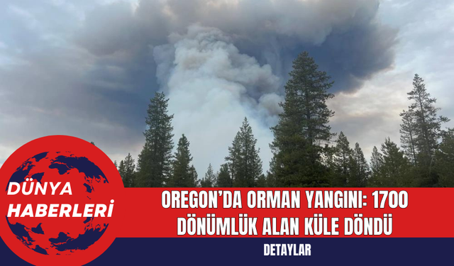 Oregon’da Orman Yangını: 1700 Dönümlük Alan Küle Döndü