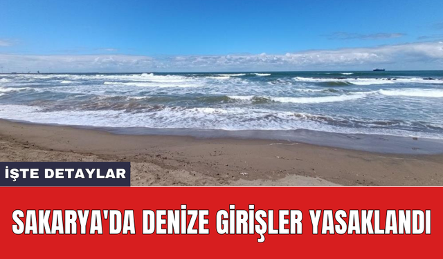 Sakarya'da denize girişler yasaklandı