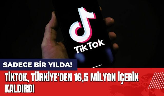 TikTok Türkiye'den 16,5 milyon içerik kaldırdı