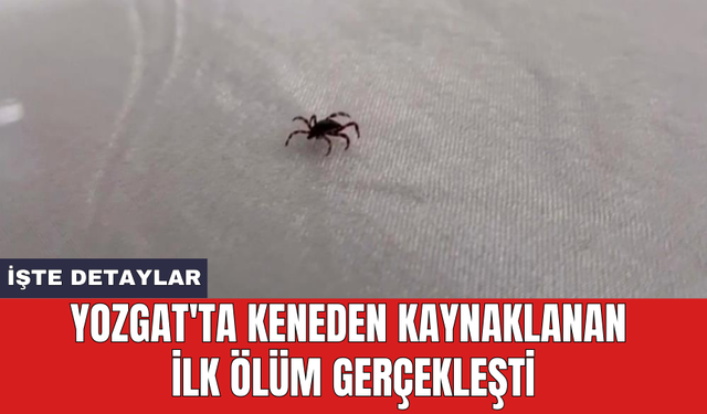 Yozgat'ta keneden kaynaklanan ilk öl*m gerçekleşti