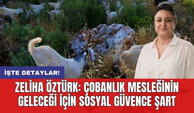 Zeliha Öztürk: Çobanlık mesleğinin geleceği için sosyal güvence şart