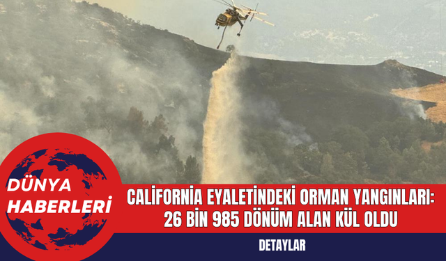 California Eyaletindeki Orman Yangınları: 26 Bin 985 Dönüm Alan Kül Oldu