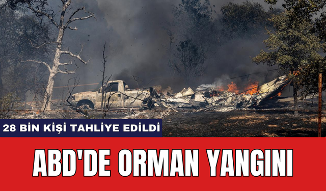 ABD'de Orman Yangını:28 bin kişi tahliye edildi