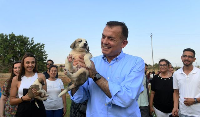 Abdullah Özyiğit Kimdir? Nereli? Kaç Yaşında?