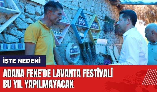 Adana Feke'de Lavanta Festivali bu yıl yapılmayacak