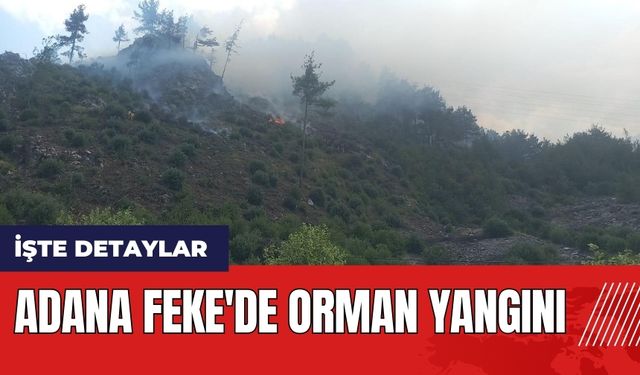 Adana Feke'de orman yangını