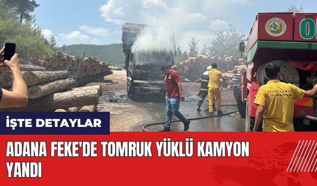 Adana Feke'de tomruk yüklü kamyon yandı