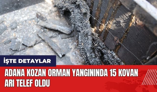 Adana Kozan orman yangınında 15 kovan arı telef oldu