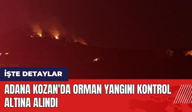 Adana Kozan'da orman yangını kontrol altına alındı