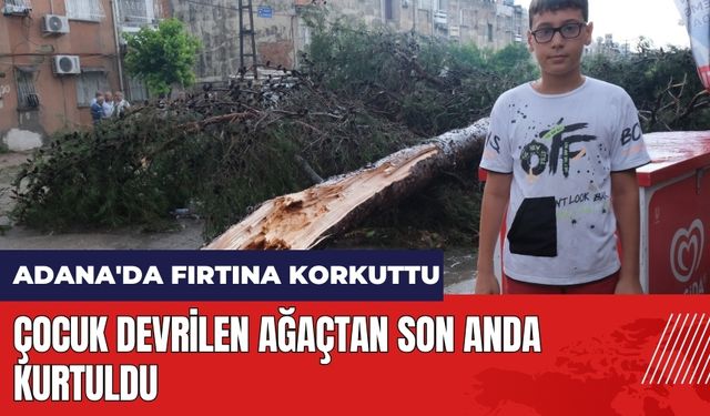 Adana'da fırtına korkuttu: Çocuk devrilen ağaçtan son anda kurtuldu