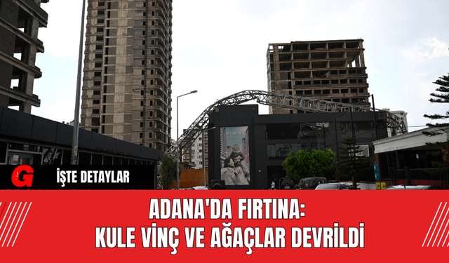 Adana'da Fırtına: Kule Vinç ve Ağaçlar Devrildi