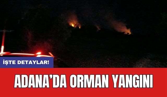 Adana’da orman yangını