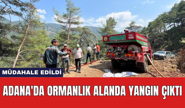 Adana'da ormanlık alanda yangın çıktı