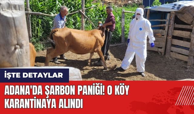 Adana'da şarbon paniği! O köy karantinaya alındı