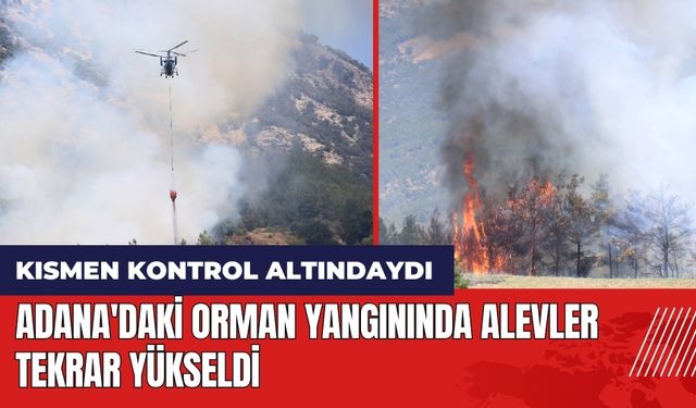 Adana'daki orman yangınında alevler tekrar yükseldi