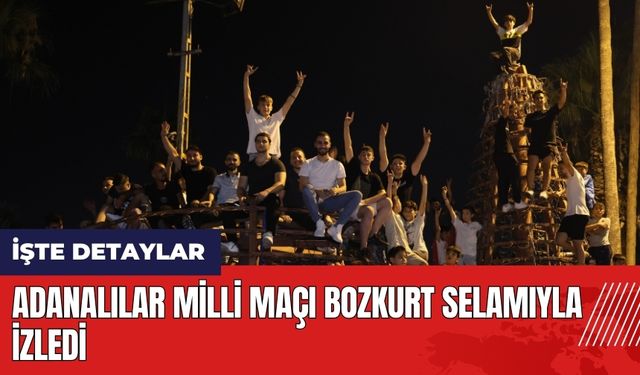 Adanalılar Milli maçı bozkurt selamıyla izledi