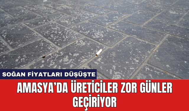 Amasya'da üreticiler zor günler geçiriyor: Soğan fiyatları düşüşte