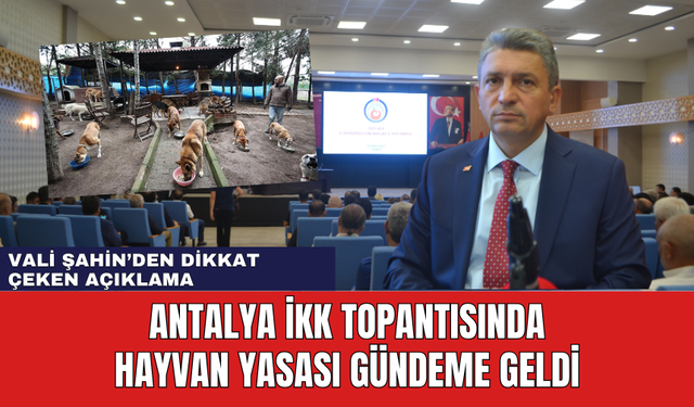 Antalya İKK Toplantısında Hayvan Yasası Gündeme Geldi! Vali Şahin'den Dikkat Çeken Değerlendirme