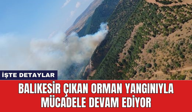 Balıkesir çıkan orman yangınıyla mücadele devam ediyor