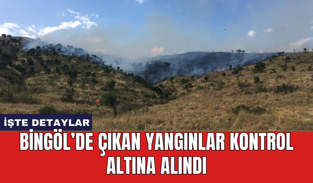 Bingöl’de çıkan yangınlar kontrol altına alındı