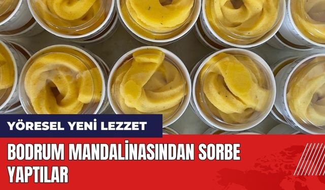 Bodrum mandalinasından sorbe yaptılar