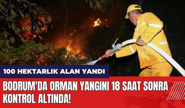 Bodrum'da orman yangını 18 saat sonra kontrol altında!