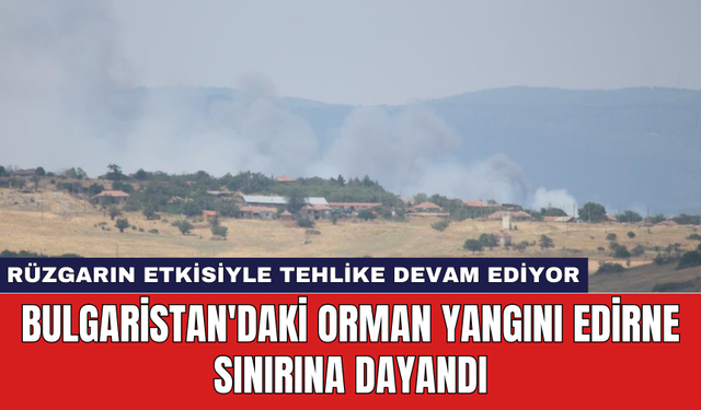 Bulgaristan'daki orman yangını Edirne sınırına dayandı