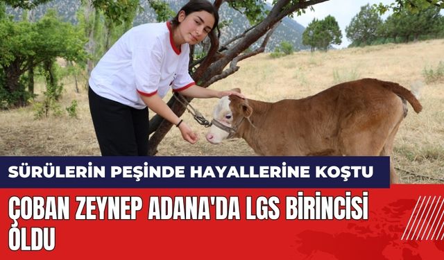 Çoban Zeynep Adana'da LGS birincisi oldu