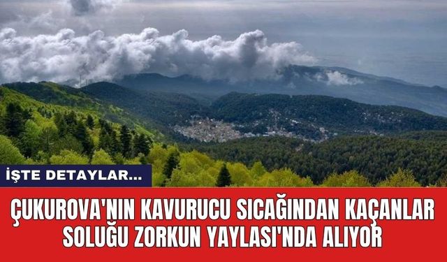 Çukurova'nın kavurucu sıcağından kaçanlar soluğu Zorkun Yaylası'nda alıyor