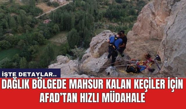 Dağlık Bölgede Mahsur Kalan Keçiler İçin AFAD’tan Hızlı Müdahale