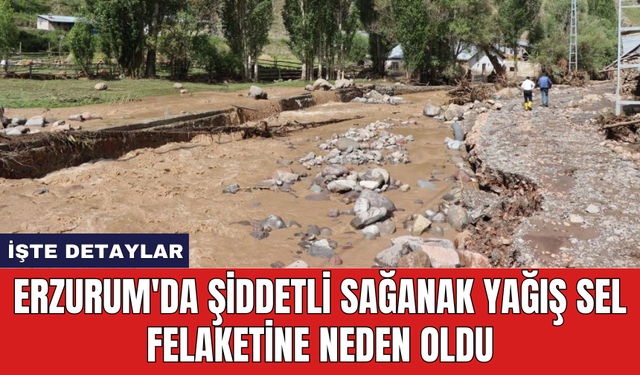 Erzurum'da şiddetli sağanak yağış sel felaketine neden oldu