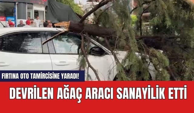 Fırtına oto tamircisine yaradı! Devrilen ağaç aracı sanayilik etti