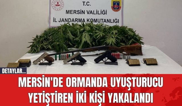 Mersin'de Ormanda Uy*şturucu Yetiştiren İki Kişi Yakalandı