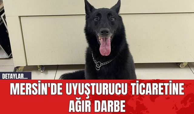 Mersin'de Uyuşturucu Ticaretine Ağır Darbe