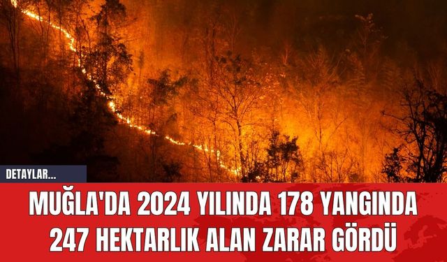 Muğla'da 2024 Yılında 178 Yangında 247 Hektarlık Alan Zarar Gördü