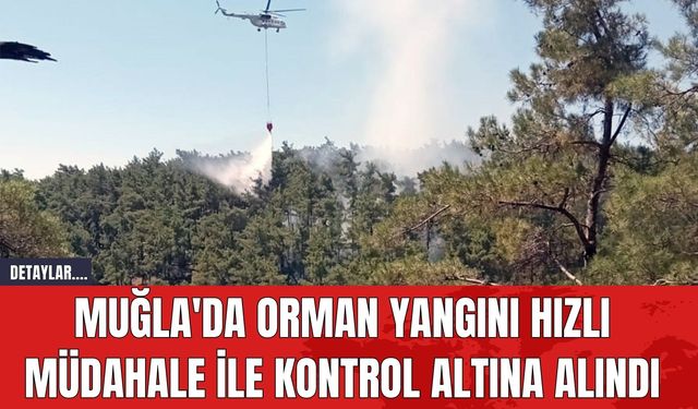 Muğla'da Orman Yangını Hızlı Müdahale İle Kontrol Altına Alındı