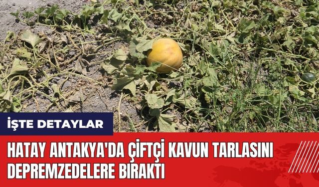 Hatay Antakya'da çiftçi kavun tarlasını depremzedelere bıraktı