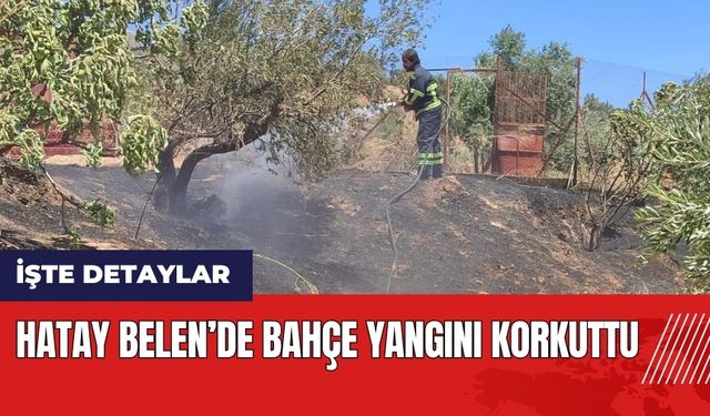 Hatay Belen'de bahçe yangını korkuttu