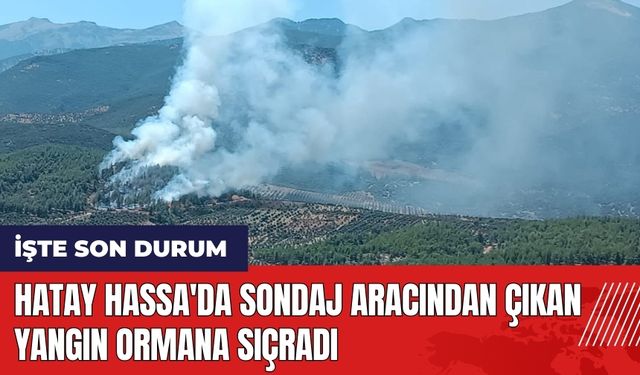 Hatay Hassa'da sondaj aracından çıkan yangın ormana sıçradı